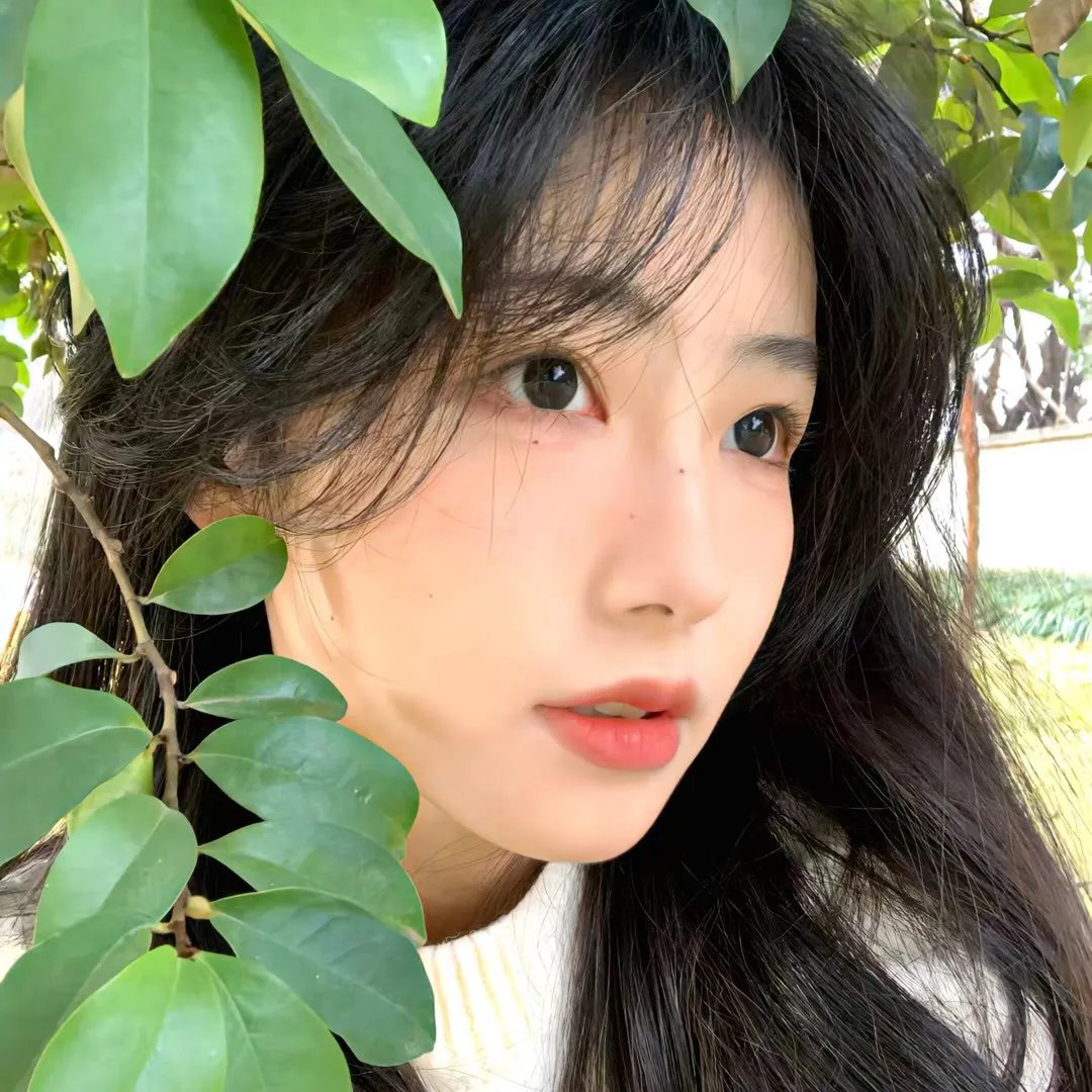 五巨头